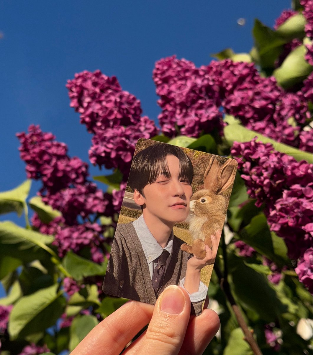 BassysAsscheek's tweet photo. @LuckyBunnyFest My bunny Keonhee from Oneus 🥹🐇 https://t.co/k2cUMoekN0