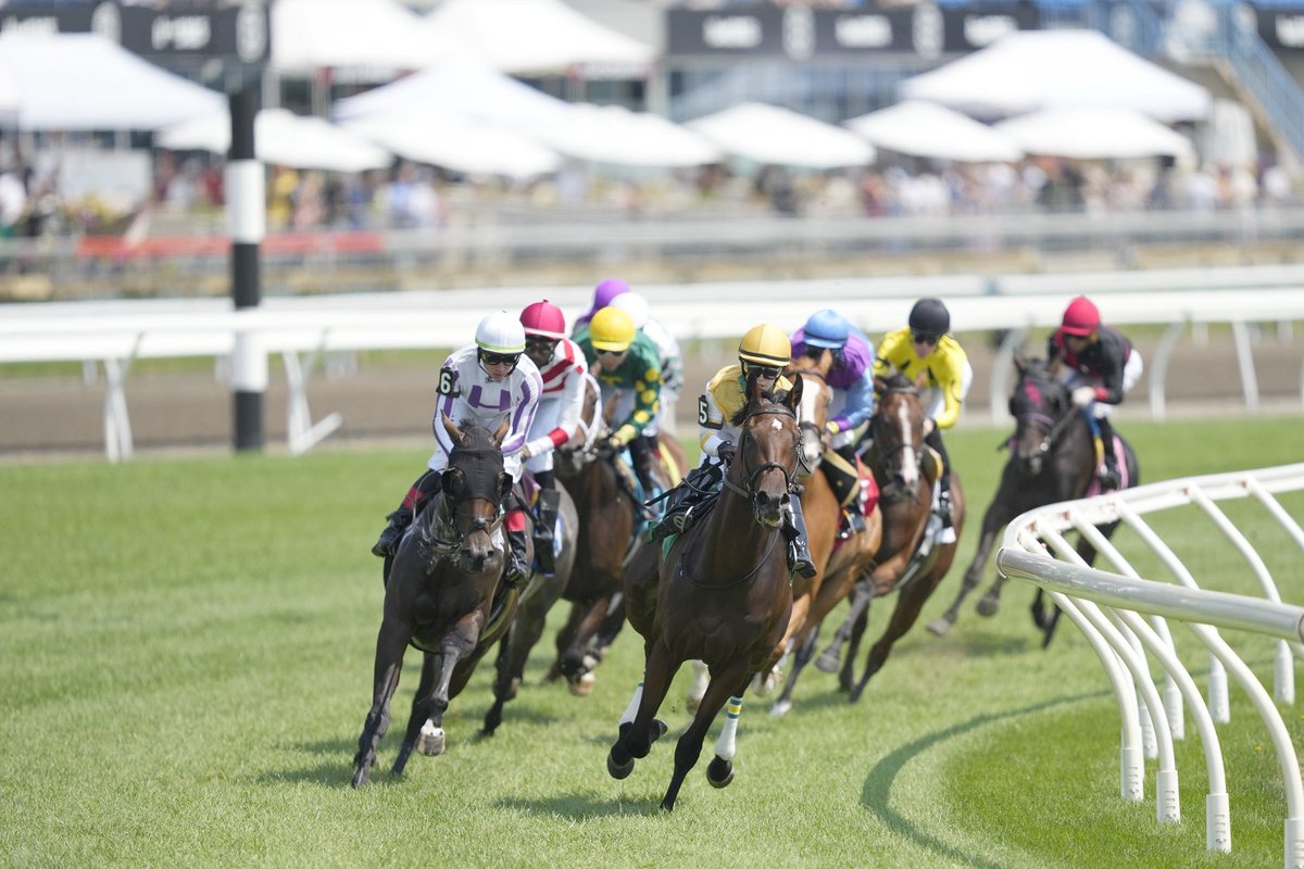 elliottracing99's tweet photo. View the @WoodbineTB overnight for Saturday’s 11-race card, featuring the Fury Stakes &amp; 4 Turf Races ⬇️

🔗| https://t.co/q8doB0zvAP https://t.co/GXbs1KsNIG