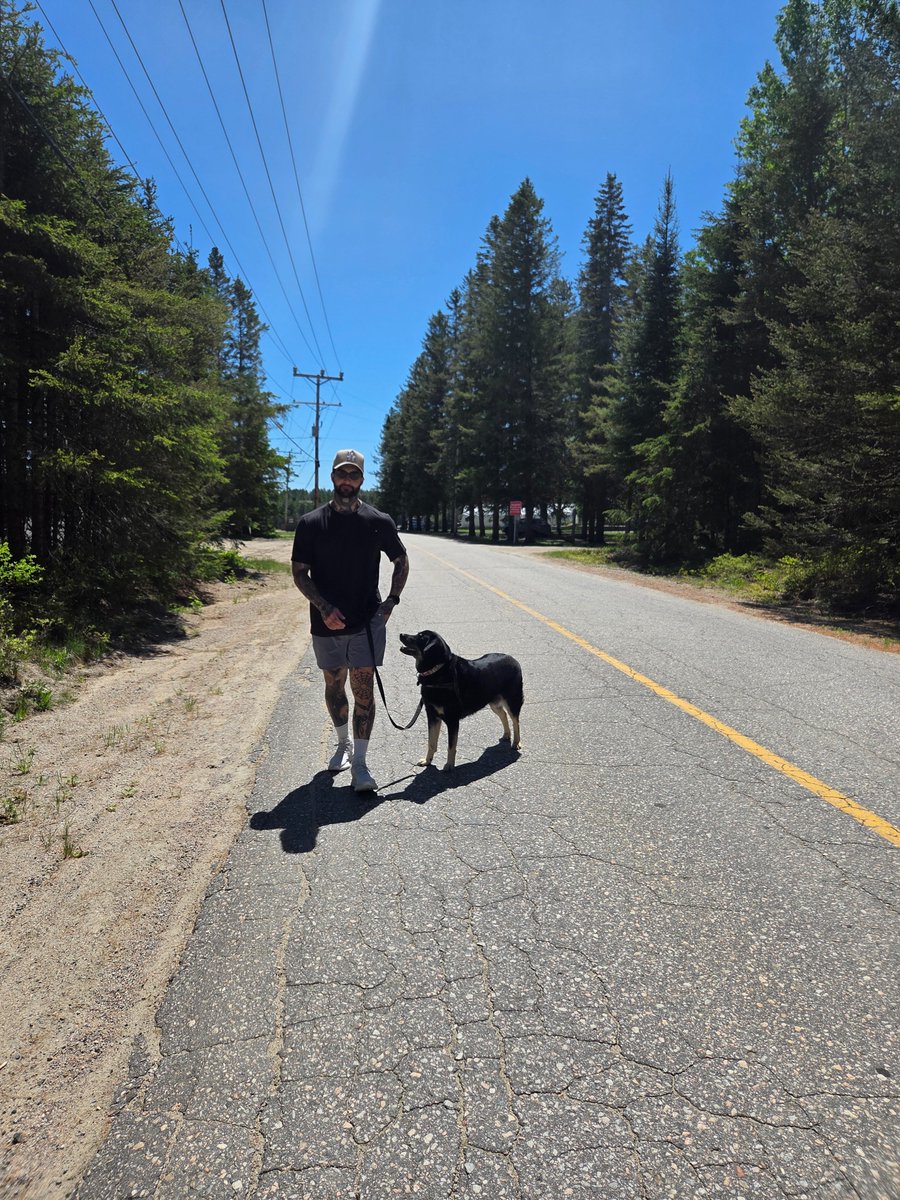 BuildingOnShift's tweet photo. After the session, this is the debrief.
No agenda. Just the road and the dog. https://t.co/isewOukcHh