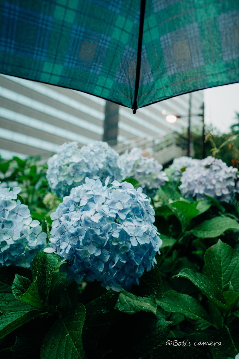 bobcamera1's tweet photo. [台風の日] 
RICOH　GRⅢ
https://t.co/BmHAboUHdz https://t.co/SwYDDLJ8eR