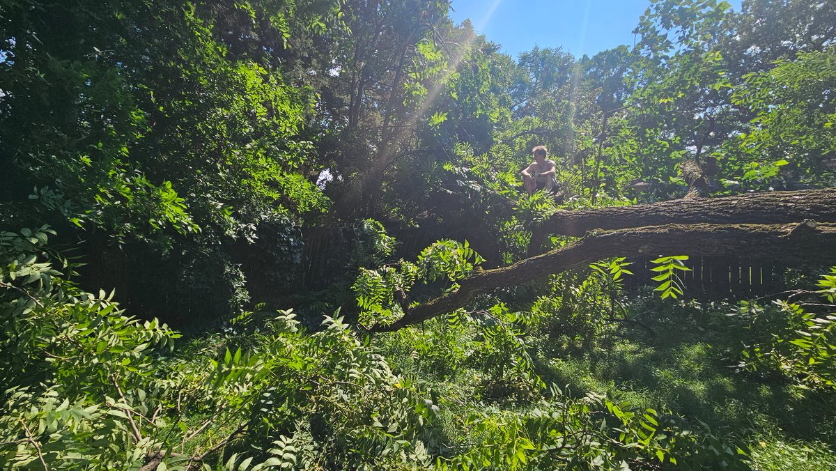 WMinspires's tweet photo. Big tree fall hard! Only God knows the way wind blows- didn't hit our home or neighbor's! Perfectly in line w/ yard corner-not touching fences &amp; also a mid-morn crash instead of middle of the night! VBS is a much better place to be rather than our babies deep in their dreams 🤣 https://t.co/rX26Rx0sgo