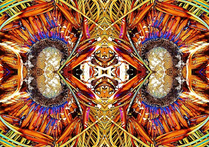 SherrieArtist's tweet photo. Art of the Day! "Flaming Kidneys". Buy at: https://t.co/1bEHx6185z https://t.co/yQu6DJqwgZ