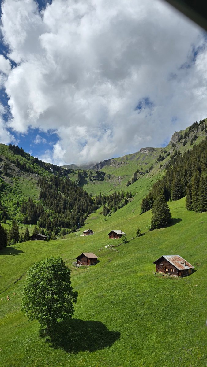 nilocgray's tweet photo. Swiss Alps https://t.co/BjJVdUVdGb