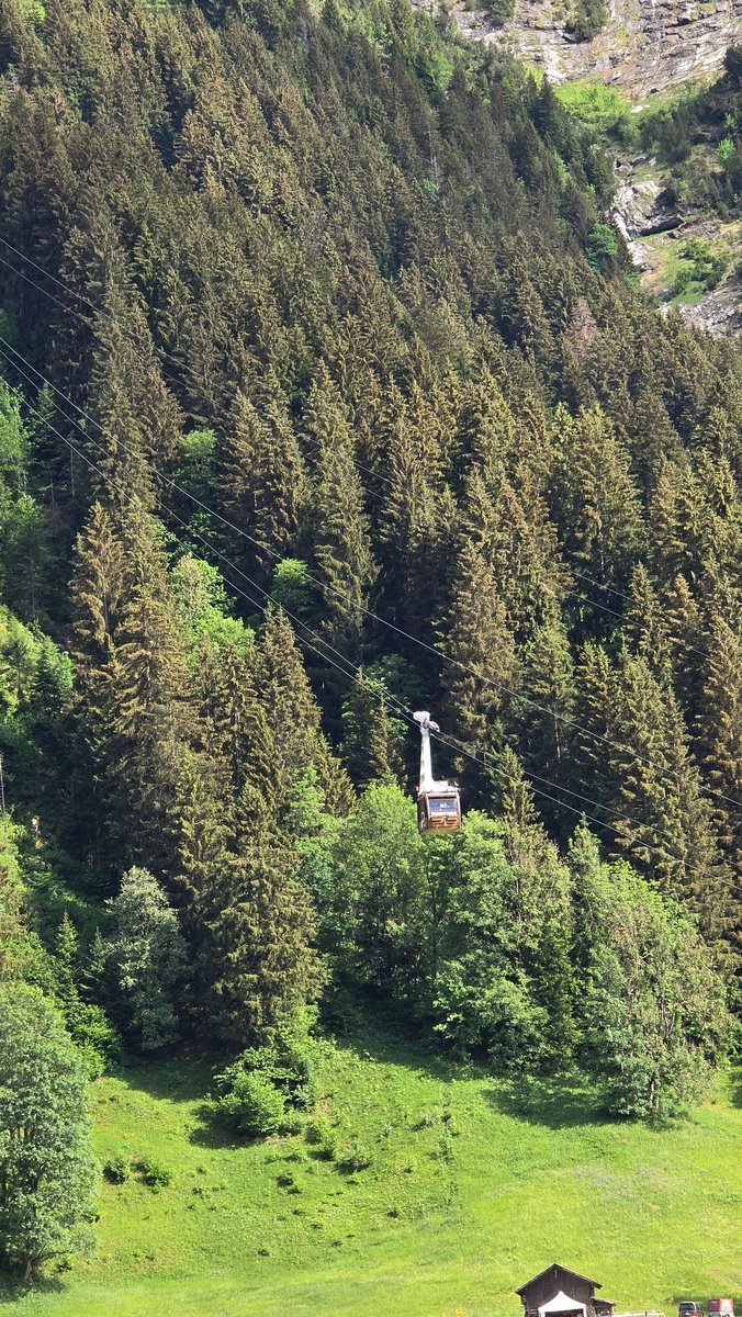 nilocgray's tweet photo. Swiss Alps https://t.co/BjJVdUVdGb