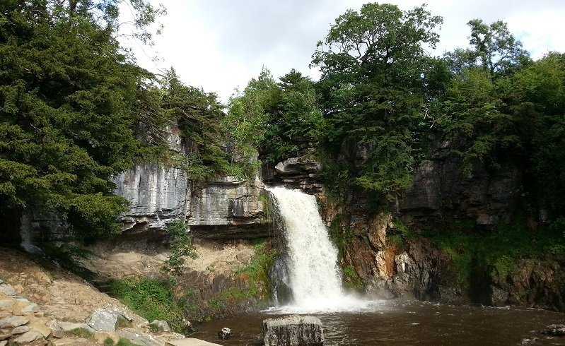 Dr_RWP's tweet photo. https://t.co/2dawOtters, on the famous #waterfallswalk near #Ingleton in the #YorkshireDales: https://t.co/jSECqcWQDK