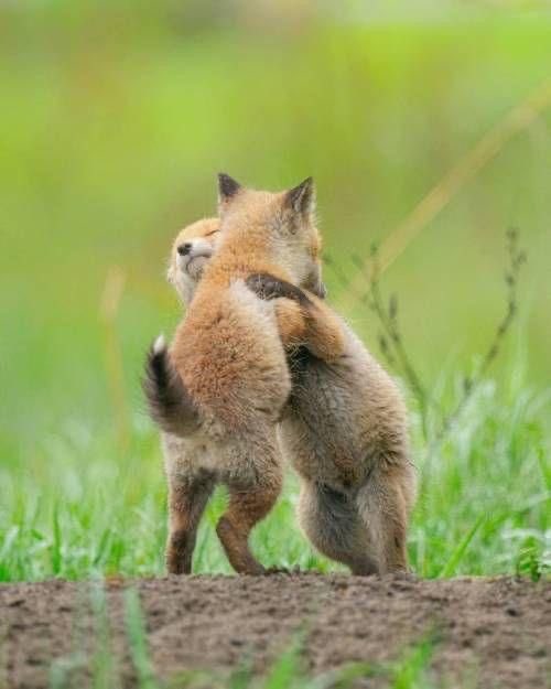 🐇🐾 ❞ ᨀ. michael. ☆ tweet media