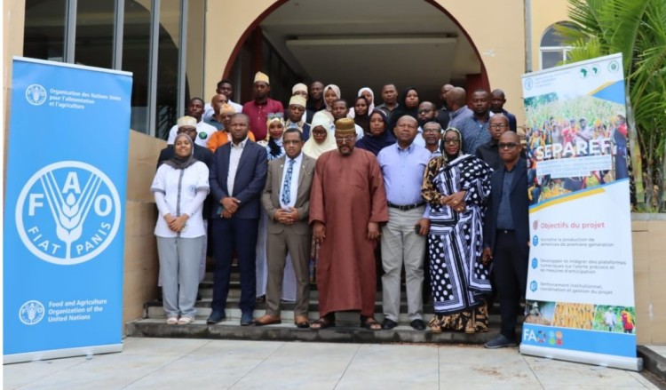 comoros_ne's tweet photo. Aux Comores, un projet régional de 2,57 millions de dollars dédié à la sécurité alimentaire s’achève avec un taux d’exécution de 102 %, renforçant la résilience agricole et le système semencier national. #Comores #Agriculture #SécuritéAlimentaire https://t.co/6dQLRKY5UU