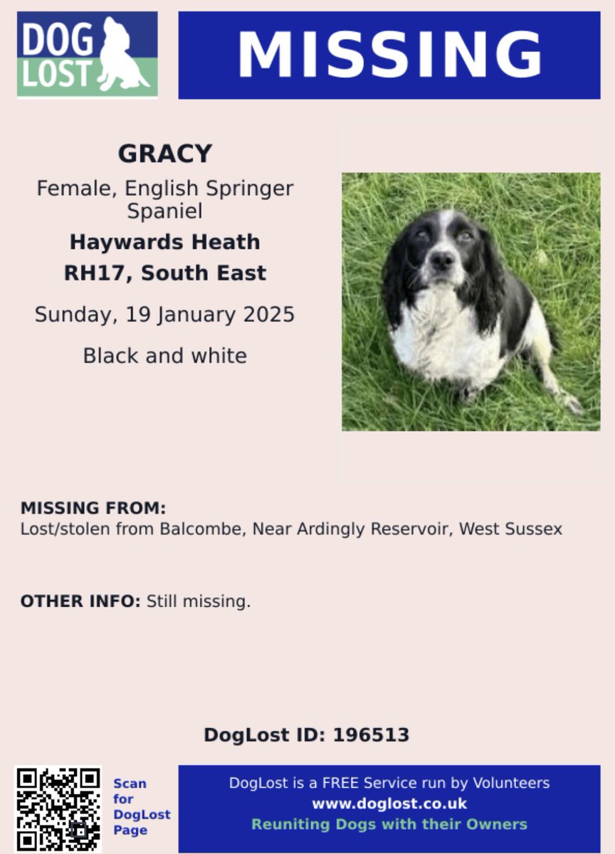 rosieDoc2's tweet photo. #SpanielHour 

GRACY still missing 
Female Blk&amp;wh #ESS 
19/1/25 #HaywardsHeath #RH17 
Nr ARDINGLY RESERVOIR SUSSEX 
Small springer. Limp from old injury (front) 

https://t.co/FfS8io6jmO

@clares14764190 @Harveysarmy1 @millypod1 @juliagarland73 @BitofDecorum @bs2510 https://t.co/FX8Jn9P3y0