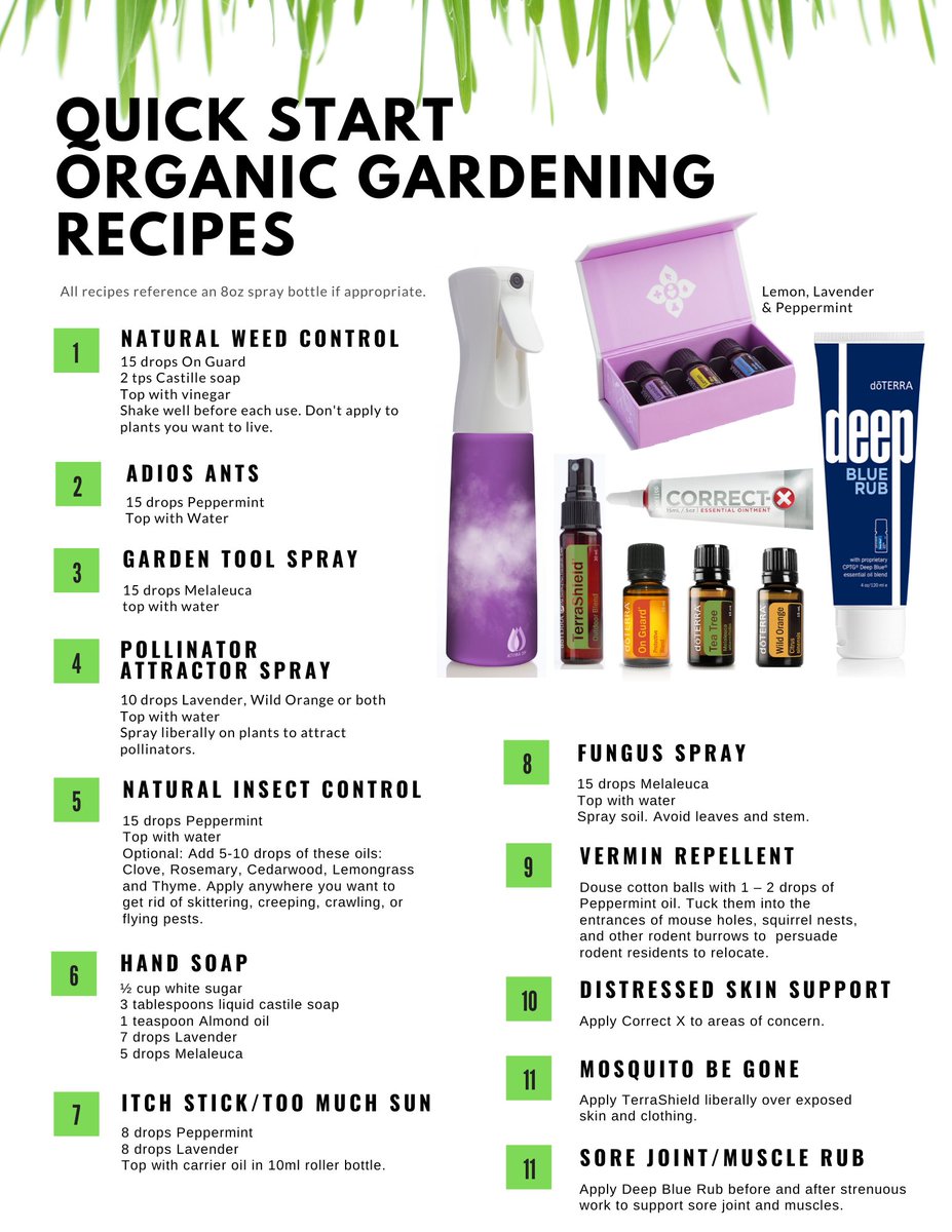 debrafillingim's tweet photo. Who knew? I knew you could use your oils to help in the garden.  Did you? https://t.co/L6nPJUw5vZ