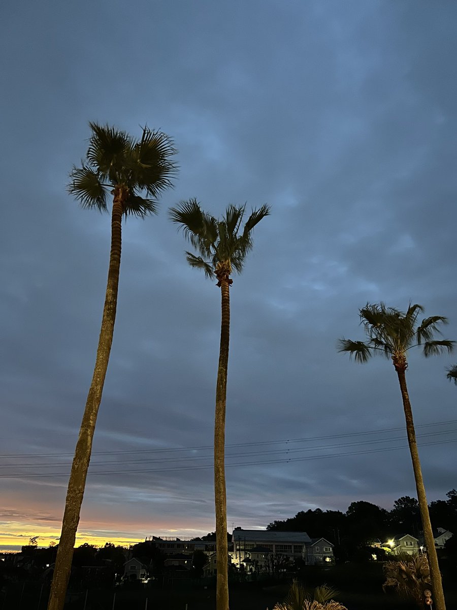 mits_i's tweet photo. This is what the sky looked like before sunrise this morning. Unfortunately, it's still dark, covered in clouds. 😅 https://t.co/TDE8l5wtRQ