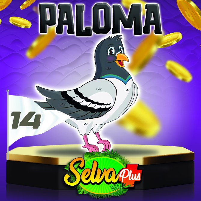 SelvaPlus's tweet photo. El animalito millonario llegó rugiendo fuerte! 🐾💰

📅 Hoy es: Miercoles, 03 Junio 2026
⏰ Hora del sorteo: 03:00 PM
🥇 Animalito ganador: 14 Paloma

🔢 En Selva Plus, todos tienen su animalito de la suerte. ¿Apostaste por el ganador de hoy? ✨ https://t.co/7rLicQv1wK