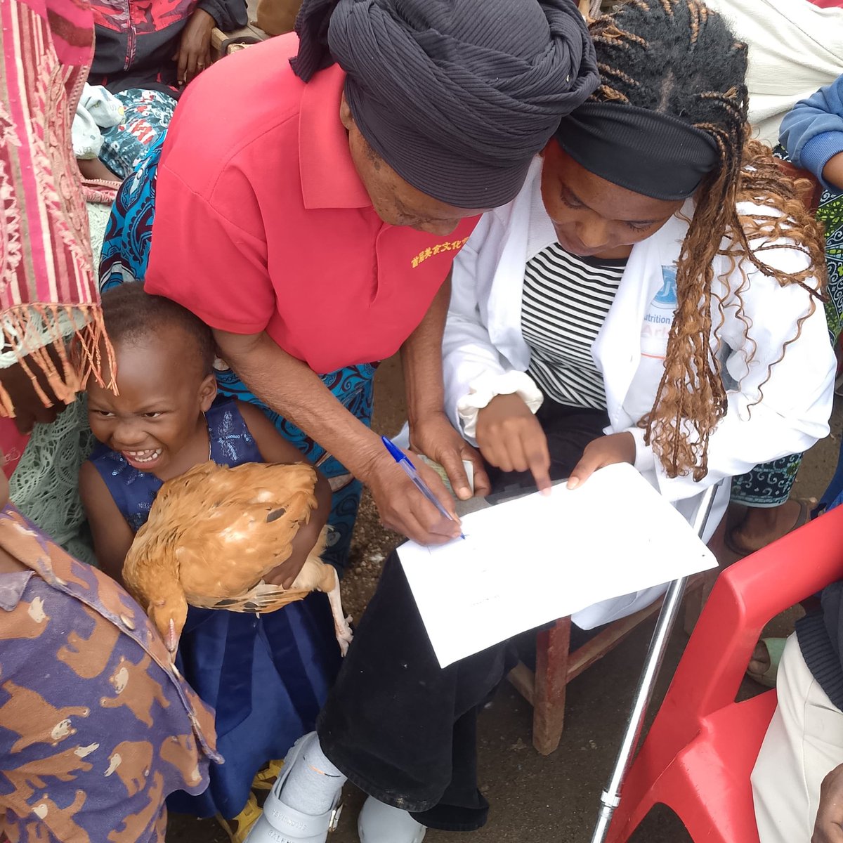 IHI_Rwanda's tweet photo. Combating malnutrition starts with sustainable community solutions! 

We’re thrilled to support families in @RubavuDistrict by providing chickens, giving children a reliable source of daily protein through fresh eggs. 

Together for a healthier tomorrow. 

#SolutionsForImpact https://t.co/e9yGyXaltA