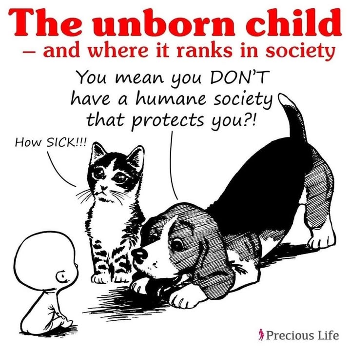 PreciousLifeCom's tweet photo. We must all be a powerful voice for the most vulnerable unborn child.

✍🏻 Sign the Petition to restore FULL legal protection to every unborn child.
https://t.co/v53F8p4rUX

#RepealSection9 https://t.co/NilKEvDpjf
