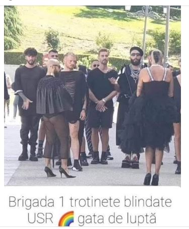 unicool1010's tweet photo. Maimutoii gaozari pregatiti de lupta in ucraina https://t.co/ZYvKfqoTOv