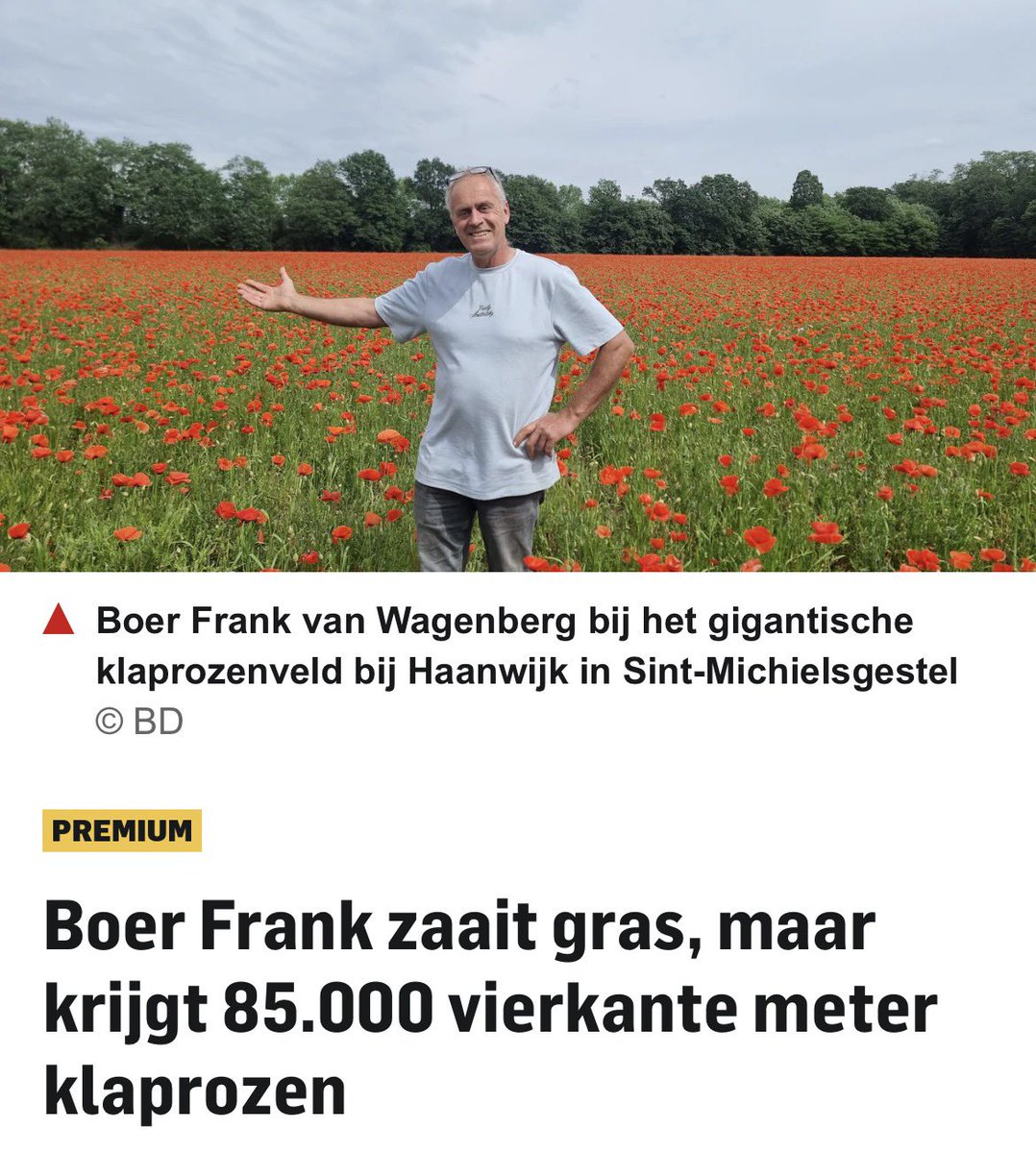 Margretha46's tweet photo. Je denkt dat je graszaad strooit, blijkt het iets anders te zijn 

Maar liefst 85.000 vierkante meter, dat is groter dan twaalf voetbalvelden, staat vol met bloeiende klaprozen.
 
Moet een feest zijn om dat te zien https://t.co/WErLE5MPHW