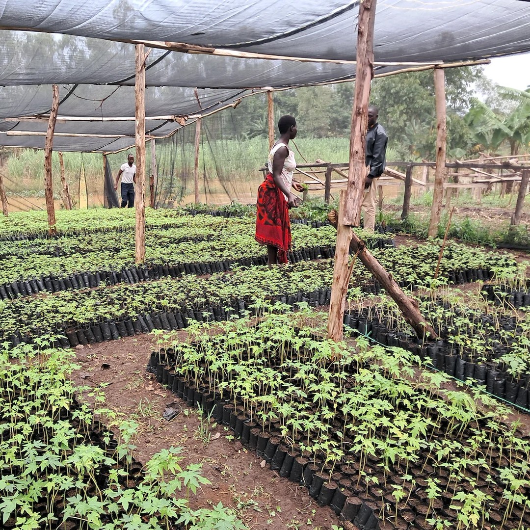UNCDF's tweet photo. Environmental finance has a last-mile problem. 

📍 At this week's @theGEF Assembly, that problem is front and center. 

And so is the solution. 

Blended finance and non-grant instruments that de-risk private investment and mobilize domestic capital. https://t.co/JJwqlxMlnv