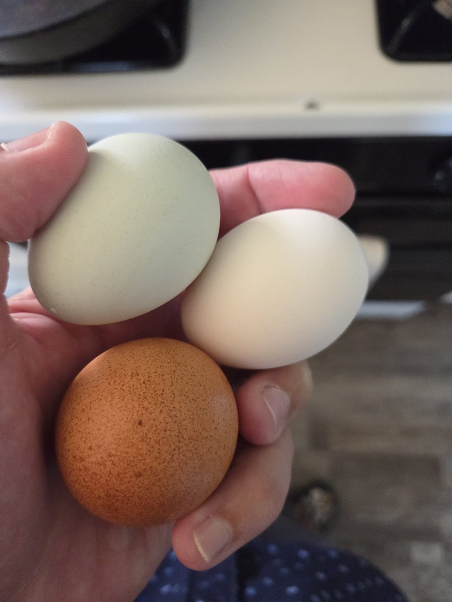 Riles178's tweet photo. A red one, a blue one, and a white one. https://t.co/hFuJptY1dt