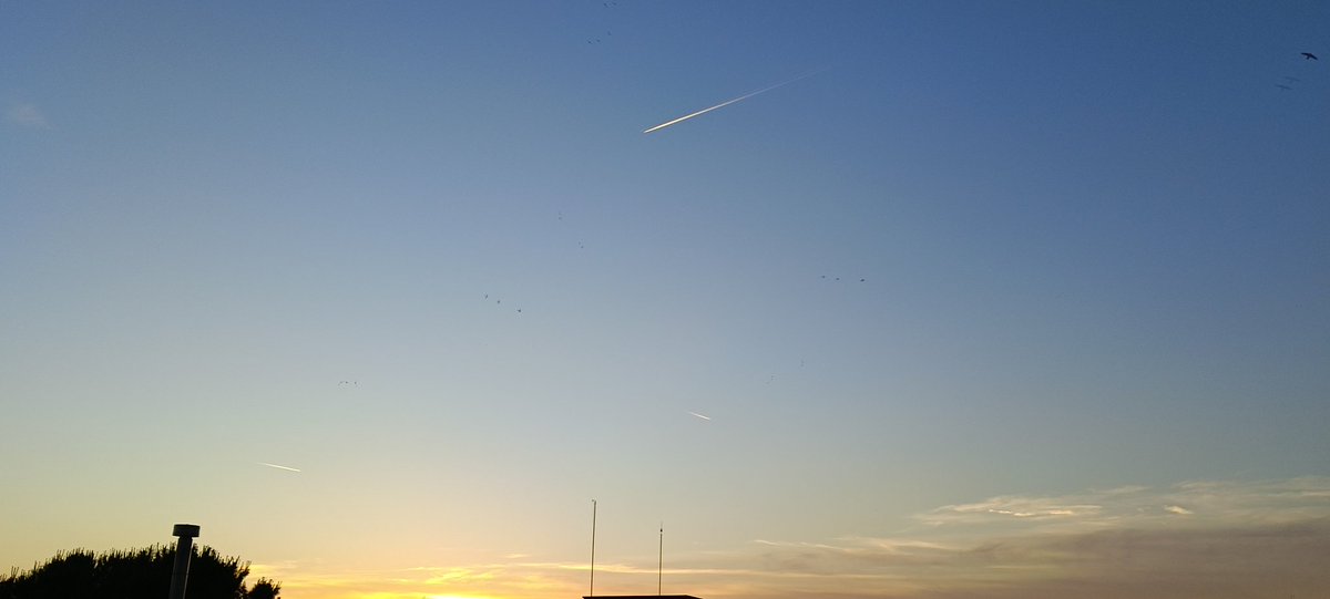 MariaVitdo's tweet photo. No quiero aparentar lo que no siento, pero a veces necesito sonreír para sentirme  fuerte. https://t.co/0ADShNoApT