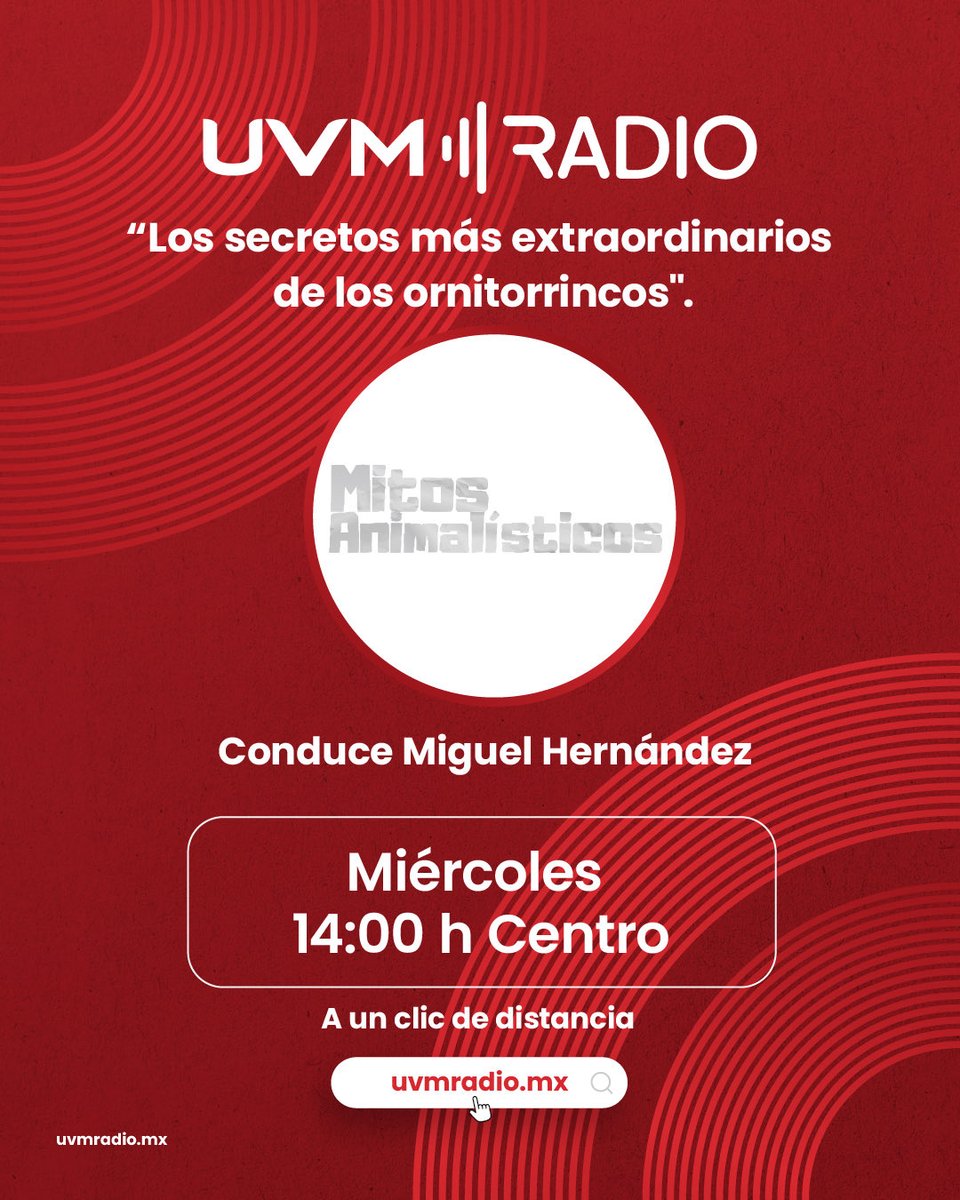 UVMRadio_MEXICO's tweet photo. Mitos Animalísticos
Los secretos más extraños de los ornitorrincos
Miércoles 14:00 H Centro
Escúchalo solo en
UVM Radio
https://t.co/MEA1PmMzO3
#mitos #uvmradio #animales https://t.co/N4ikQo1WD6