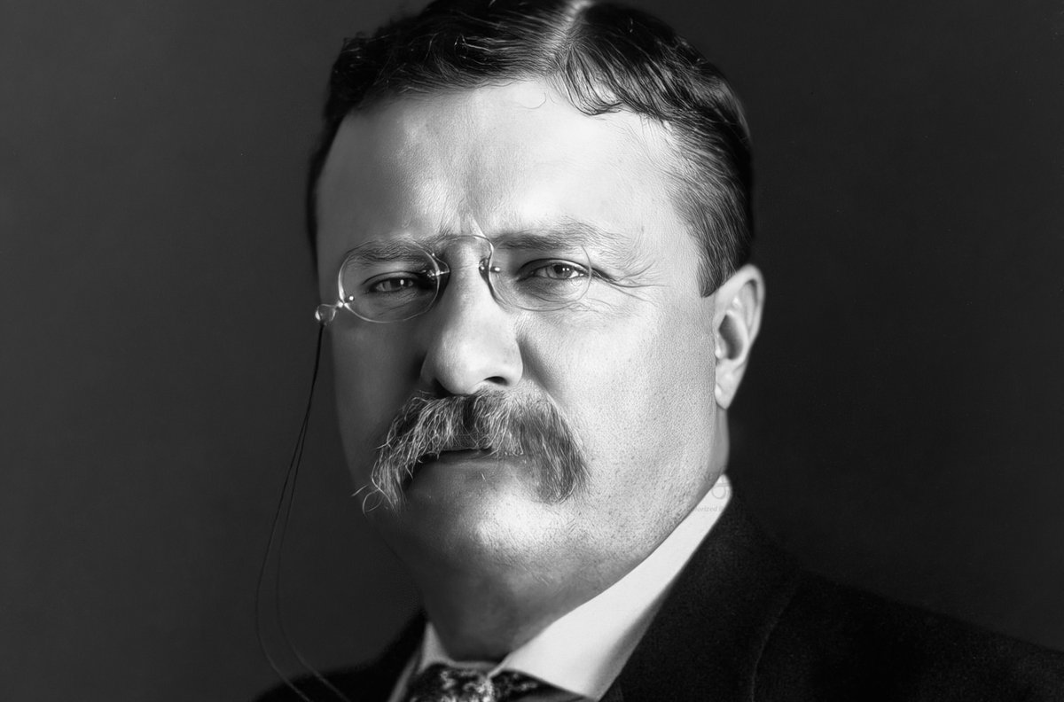 CAronitpereira's tweet photo. “Do what you can, with what you have, where you are.”

- Theodore Roosevelt https://t.co/10owVPcmJC