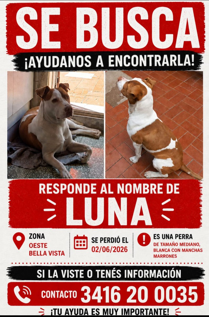 FelipeMedina251's tweet photo. Se agradece difusión!! @Rosariociudadok @PreciosRosario2 @CalleDeRosario https://t.co/2MZAwwpntM