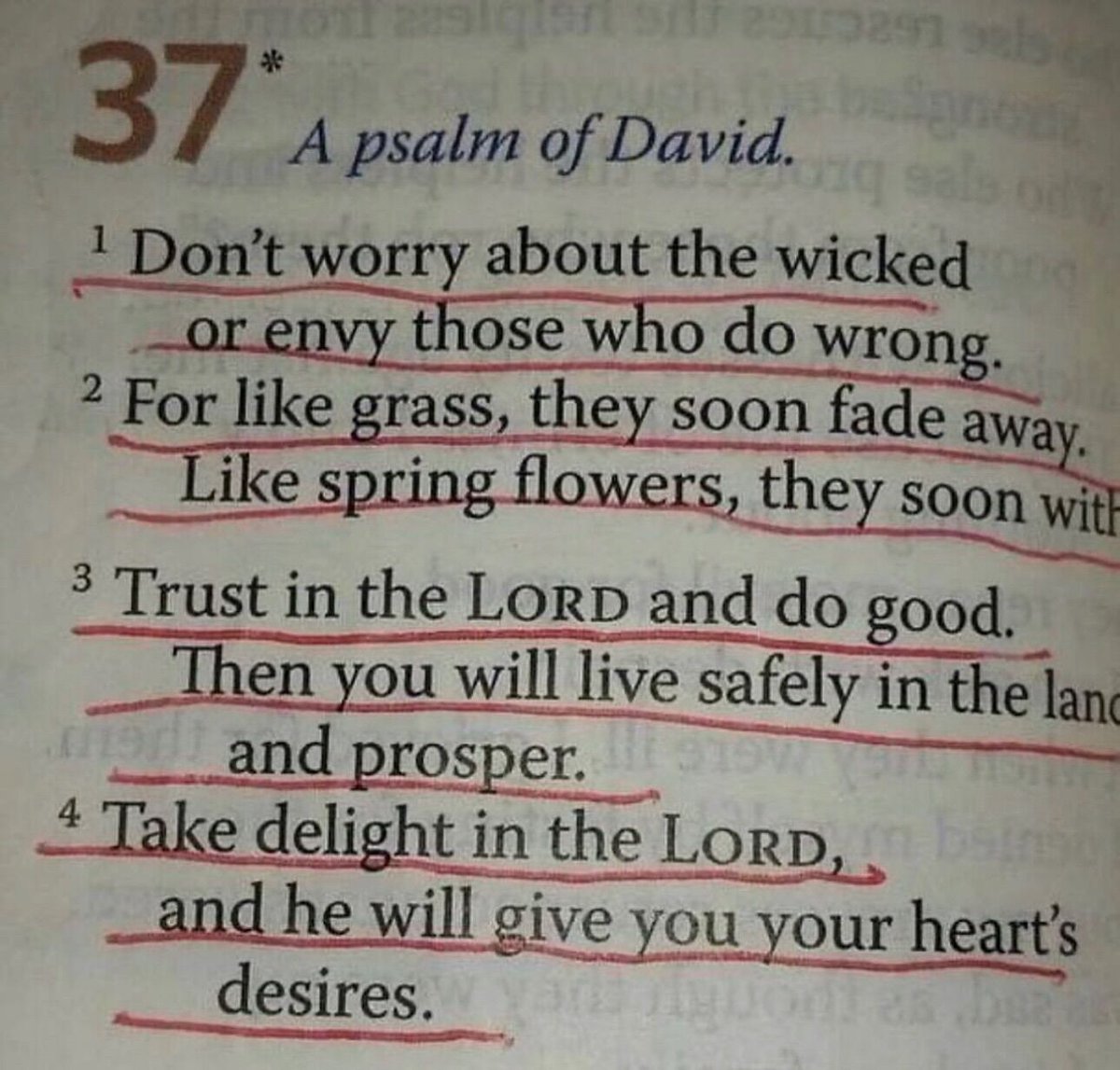 Walk with God tweet media