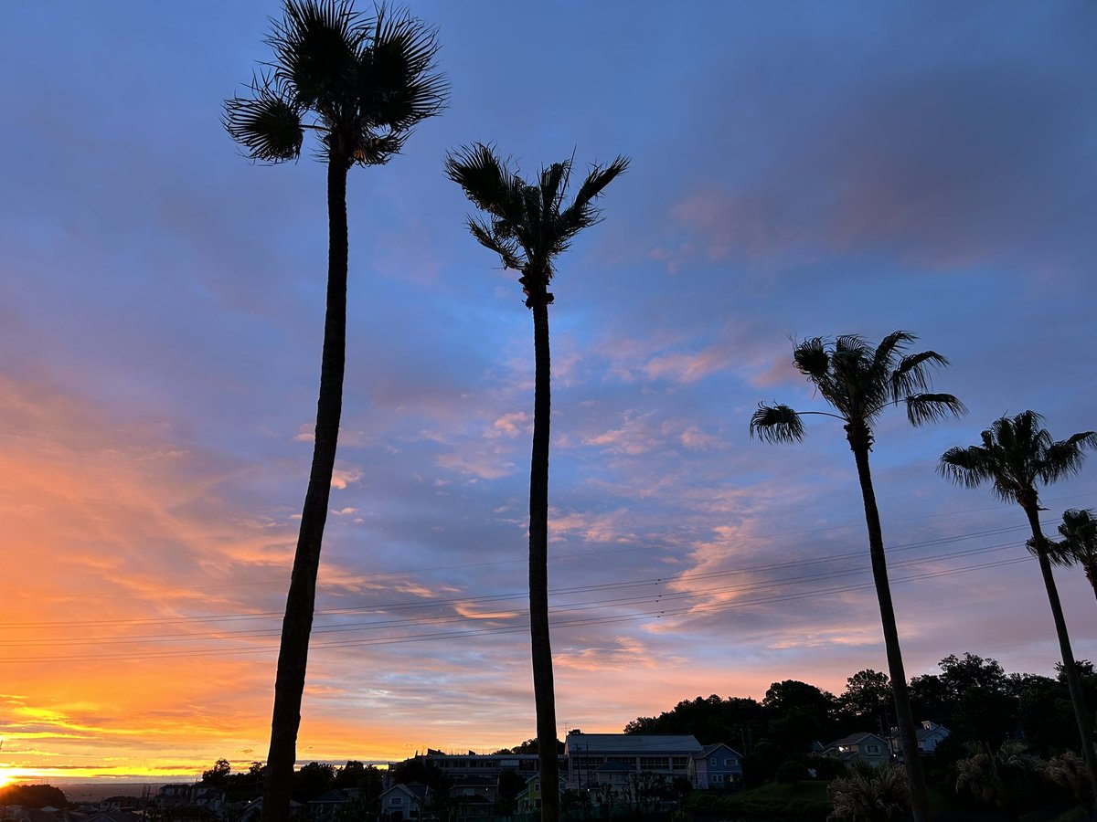 mits_i's tweet photo. This is what the sky looked like just after sunrise this morning. There were some clouds, but I was glad to see the beautiful orange sunrise 🌅. 😁 https://t.co/QNEWNqvd0J