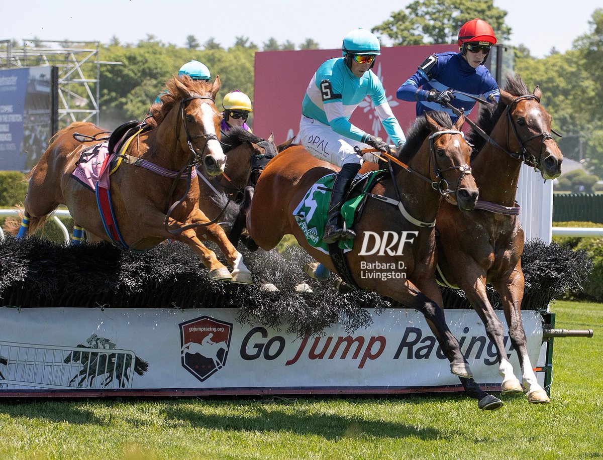 DailyRacingForm's tweet photo. 👀👀 Some great shots of Jimmy P winning the G1 Beverly R. Steinman Hurdle Handicap at Saratoga. 

📷 Barbara D. Livingston @DRFLivingston https://t.co/aPpiHC9LWT
