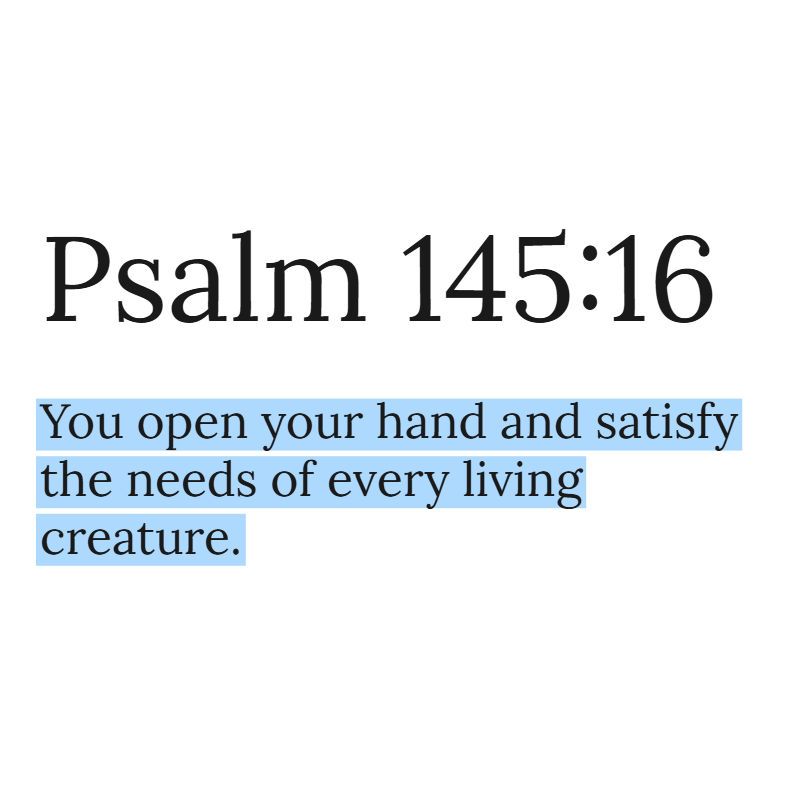 HolyBiblePosts's tweet photo. https://t.co/cKma59hmNE