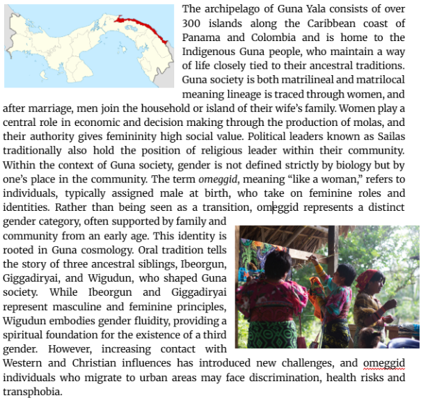 SanGuevara's tweet photo. Did a small text on the indigenous third gender of my indigenous tribe for caribbean &amp; pride month. I hope it's interesting to someone https://t.co/5VUzVNWkG6