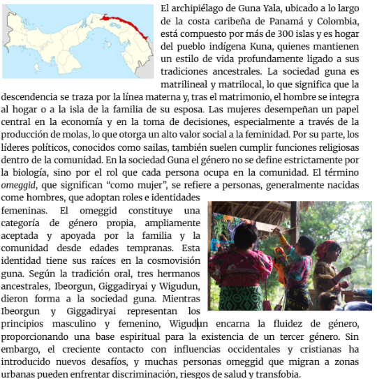 SanGuevara's tweet photo. Did a small text on the indigenous third gender of my indigenous tribe for caribbean &amp; pride month. I hope it's interesting to someone https://t.co/5VUzVNWkG6