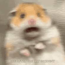 Spunkpuppet's tweet photo. @DefiantLs This little guy disagrees with Richard Gere as to what was his darkest moment. https://t.co/L2YW6PzW2o