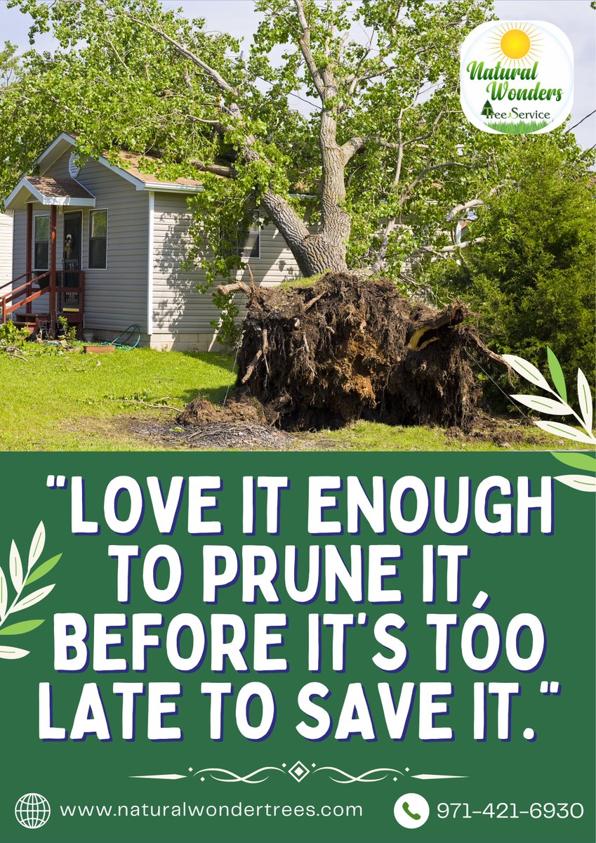 nwtsllc's tweet photo. Our experienced arborists of tree service stands ready to assist you with all your tree care requirements in the greater Portland, OR.
For More Details:
https://t.co/kAOkaGF3mQ
 #treeservice #arborists #treepruning #treetrimming #treeremoval #gardenservice #services https://t.co/WILP1EVToE
