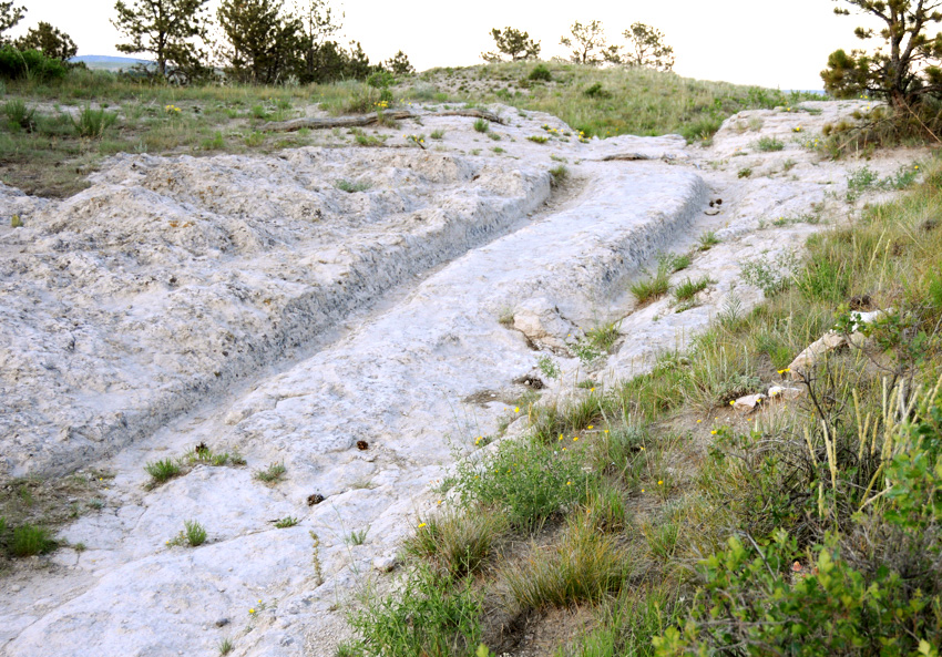 Just_Perceive's tweet photo. I loved walking the Oregon Trail in Wyoming, which has a little over 400 miles of trail. The ruts are still visible. When you stand there and look over the entire landscape, it is mind-boggling to imagine what they faced and the terrain they navigated. During those moments, I did not miss my computer!

Wagon ruts at Guernsey, WY. Photo (2008) by Kenneth Mays.