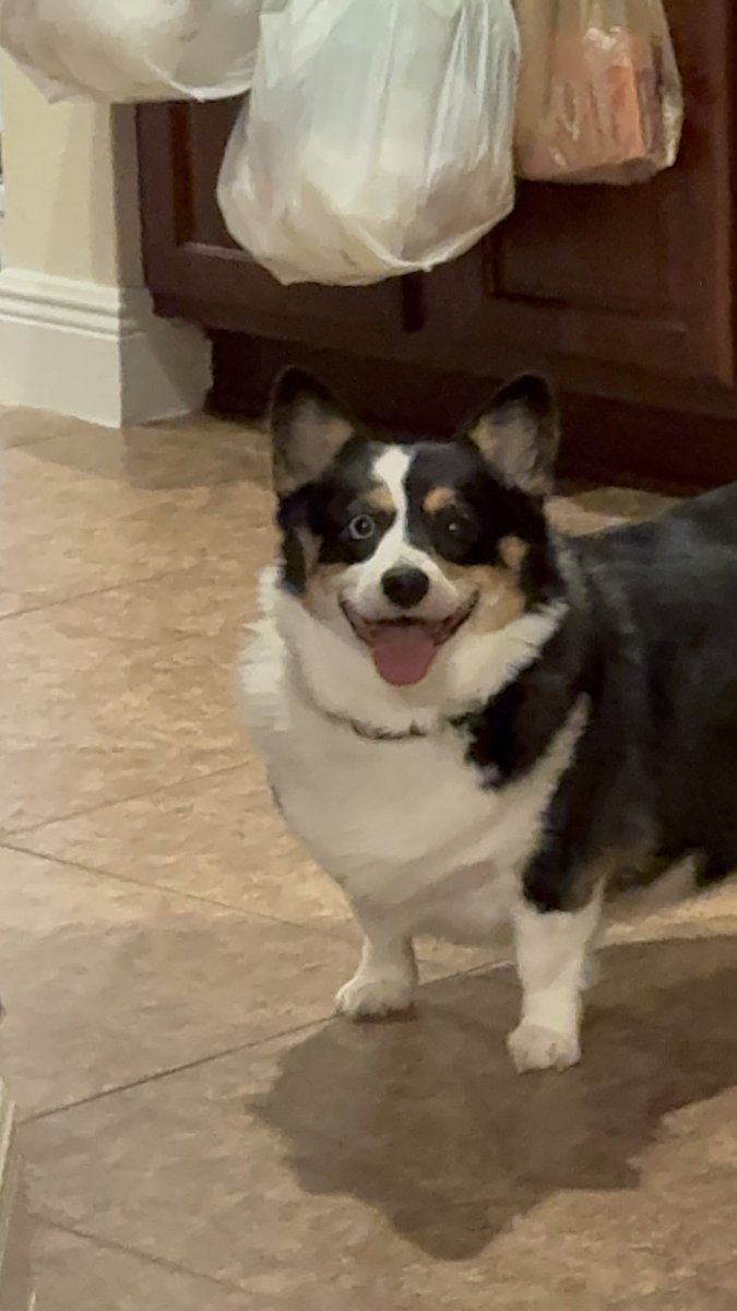KepoPosting's tweet photo. The face of full misfit 😭😭 https://t.co/MQhP4ocduz