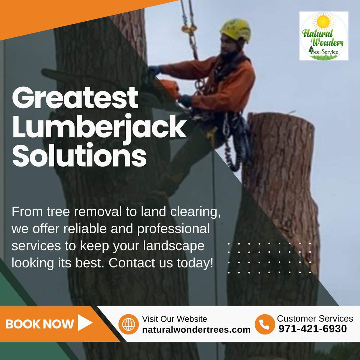 nwtsllc's tweet photo. Our experienced arborists of tree service stands ready to assist you with all your tree care requirements in the greater Portland, OR.
For More Details:
https://t.co/kAOkaGF3mQ
 #treeservice #arborists #treepruning #treetrimming #treeremoval #gardenservice #services https://t.co/jNxGijAr1R