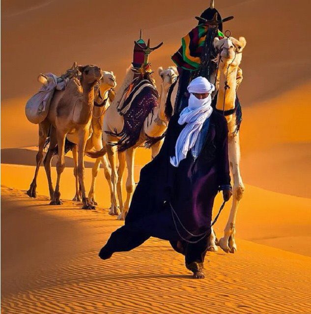 SAPRAC_SA's tweet photo. انا بفهم شيء 

مقولات انتم  ضب ... وبعير  وصحراء 

ترى هالحيونات في كل مكان وانتم في صحاري اصلا ولستم في هولندا 🇳🇱 

مافيه حيونات في مص�� ؟ 

العراق ؟ 

ليبيا ؟ 

شمال افريقيا ؟ 

تفيه 💦 على وجوهكم حثالة الامم عنصريون اوغاد https://t.co/v0zwLMDP6v