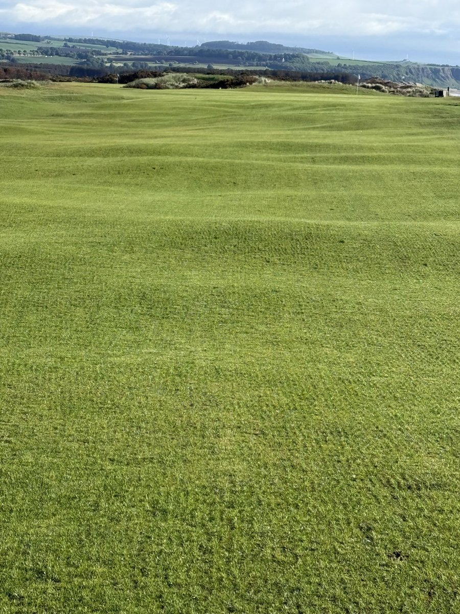 Greentech_john's tweet photo. Great to see the recovery over the last few weeks on sand damaged fairways and tees. Great work from the greens team to nurture the seed through the establishment stage. More proof grass is an amazing plant to work with. 
@Greentech_Ltd 
@BarenbrugUK https://t.co/aHahrP1MZN