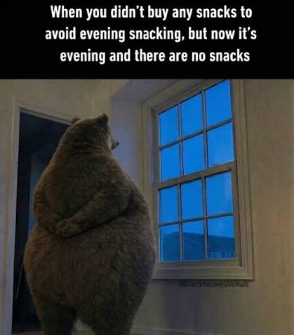 AdamLowisz's tweet photo. @elonmusk SpaceXAI is going to get me snacks now 😆 https://t.co/Hlpx9EzqXF