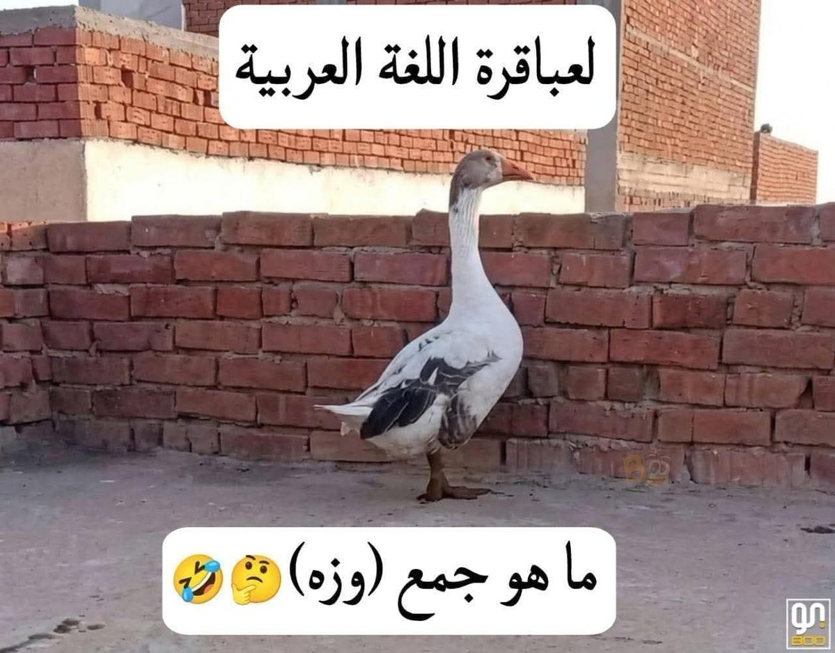Mony7744M14824's tweet photo. 🤔 اعتقد انها سهلة.... 💫💫💫 https://t.co/cIF3IsuWGq