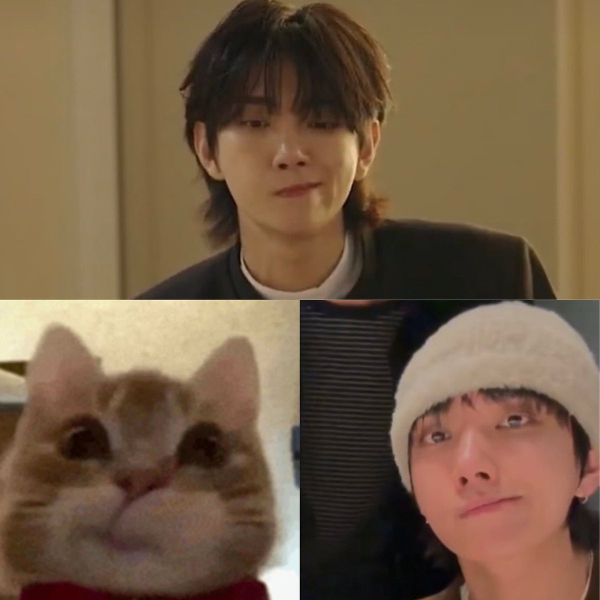 foo_shua's tweet photo. kitten🤏🏻🤏🏻 https://t.co/8kPZB1ldyW