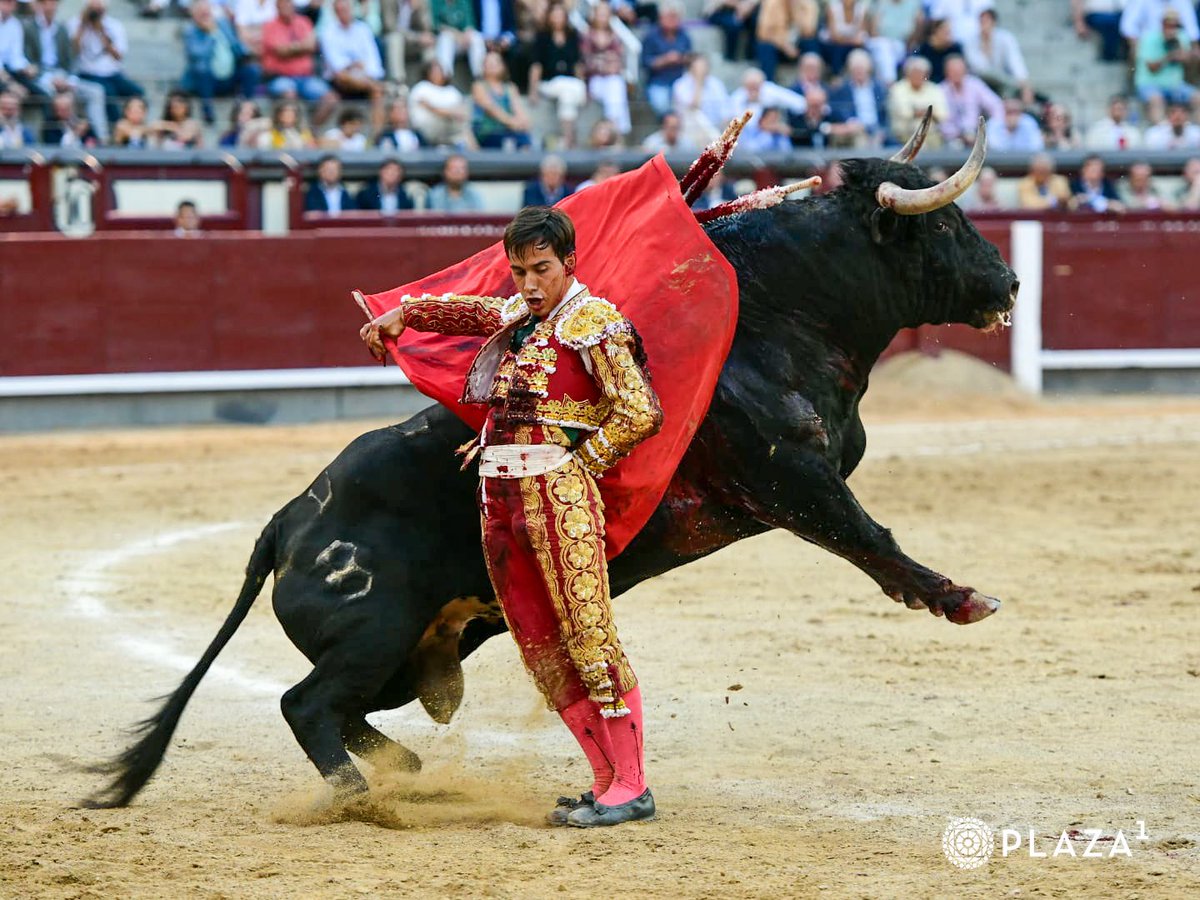 josemserrano94's tweet photo. Tener un muy buen y variado capote, espectaculares tercios de banderillas, manejar con temple y buen concepto la muleta y matar muy bien los toros (aunque hoy perdió una oreja)
Además de tener valor y con capacidad de conectar con el público
TORERO MUY COMPLETO
@IsmaelMartinM https://t.co/K9gGLRYbsc