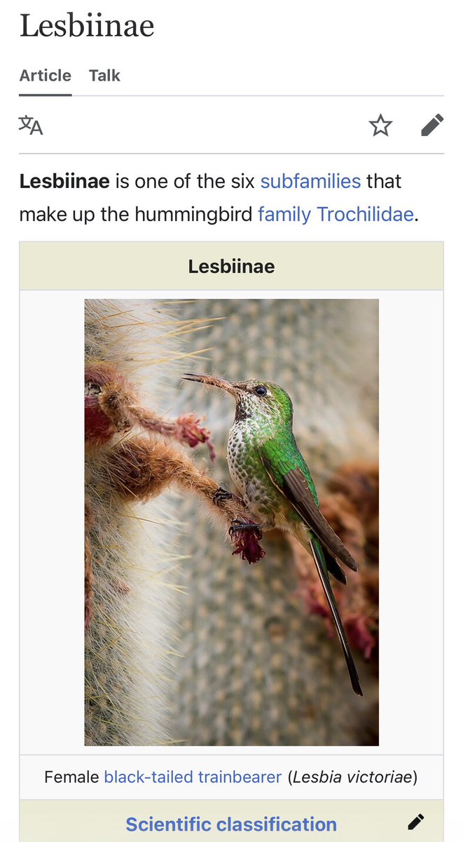Visceral9000's tweet photo. I love lesbians https://t.co/WTIiIs9AyU