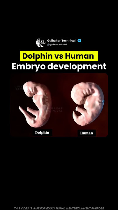 VisualizingGame tweet picture