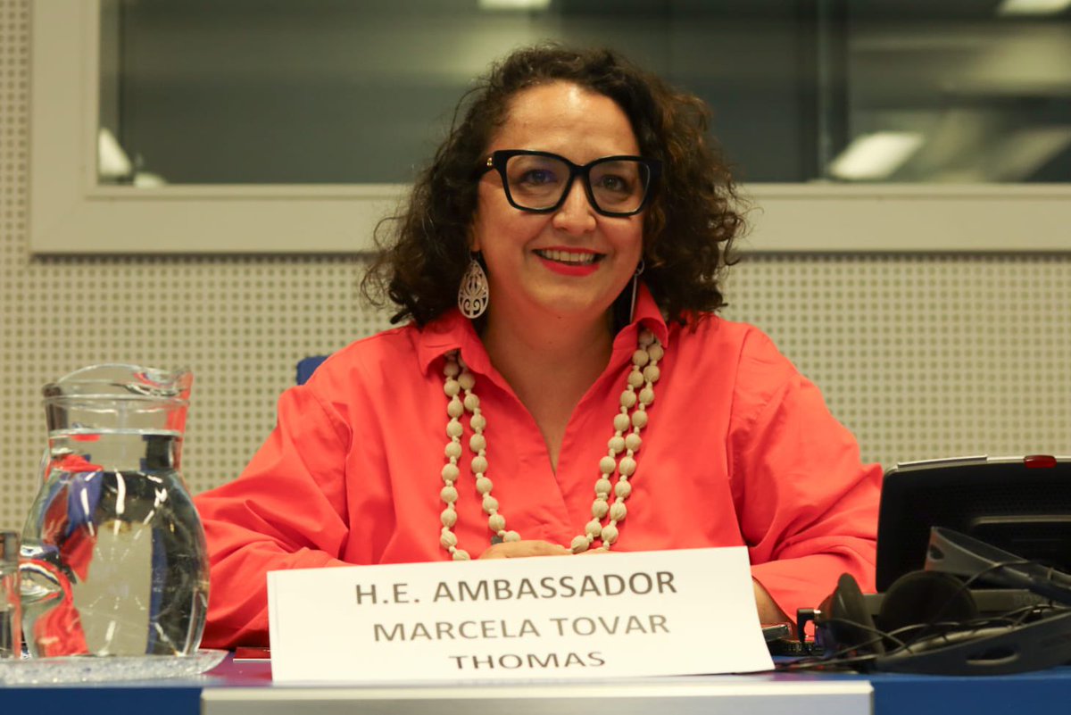 tovarthmarcela's tweet photo. Hoy participamos en el evento paralelo “From Commitment to Action: Following the Money to Address Crimes That Affect the Environment”, convocado por Wildlife Justice Commission y un amplio grupo de países aliados y socios internacionales 🌍🤝en el marco de la #CCPCJ35 (@UNODC)

Colombia 🇨🇴 recalcó que los delitos que afectan al medio ambiente no son fenómenos marginales, sino economías ilícitas dinámicas y altamente rentables, integradas en redes de delincuencia organizada transnacional y sostenidas por flujos financieros sofisticados que se aprovechan de vacíos normativos y marcos jurídicos fragmentados.

Subrayamos que, sin un enfoque robusto sobre los flujos financieros ilícitos, cualquier respuesta será insuficiente.

@infopresidencia @petrogustavo @CancilleriaCol @EmbColAustria