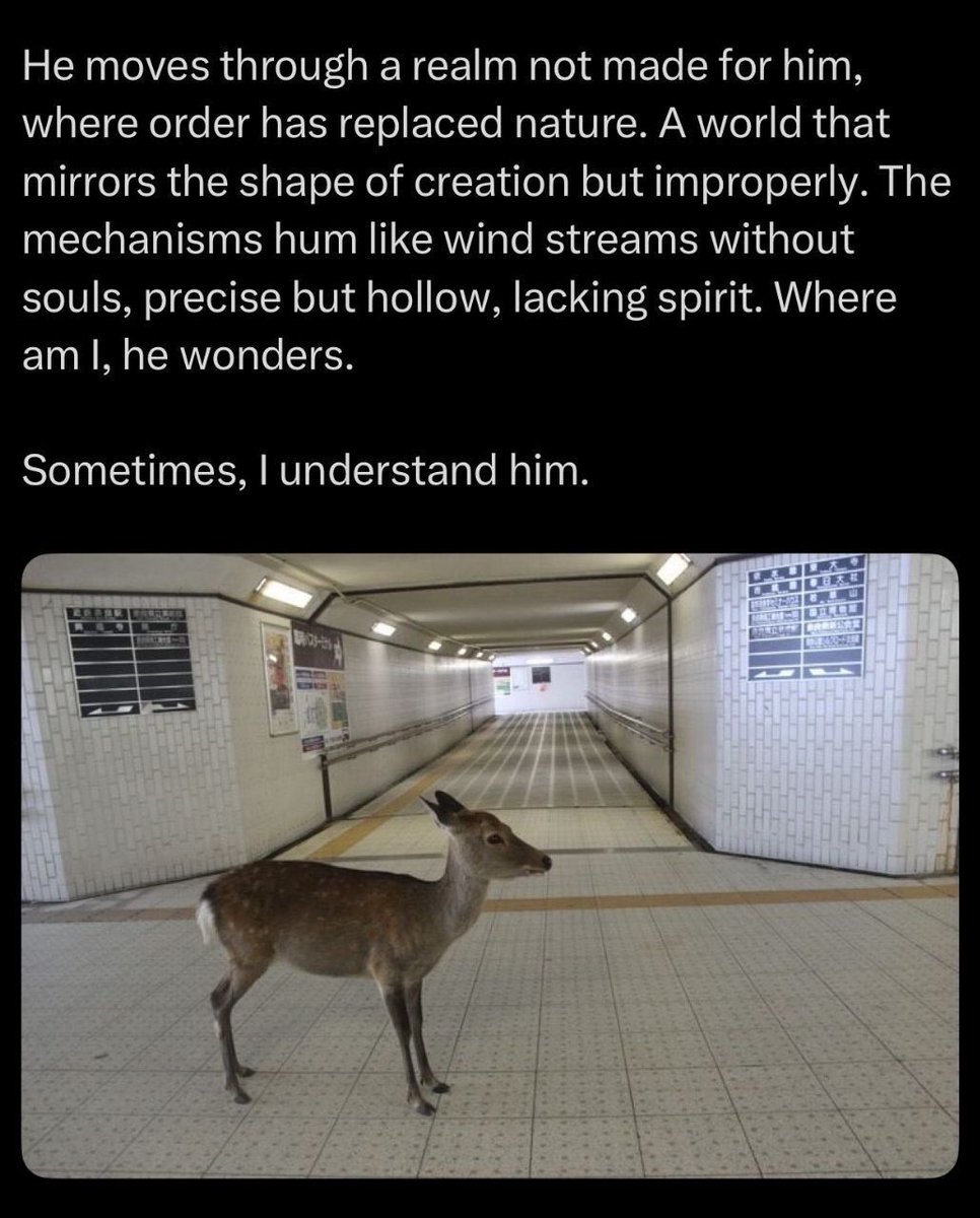 deershouldnt's tweet photo. https://t.co/9zuDYVqw1S