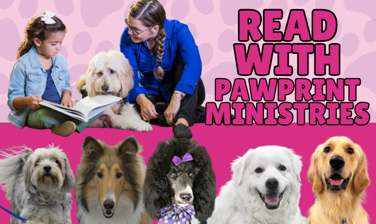LibraryDecatur's tweet photo. We have a couple of spots that have opened up for TOMMORROW night's Read with PawPrint Ministries. Kids will have the opportunity to adopt a plushie furry friend!
Register here for tomorrow or another summer date!:
https://t.co/UEZbudNtWr https://t.co/iHSD2kaDpo