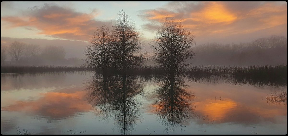 hottriggered's tweet photo. Makipai Moods

from this morning's sunrise in a lakeside wetland.

(C) #hottriggeredkiwi https://t.co/NFGXOF0WQ3