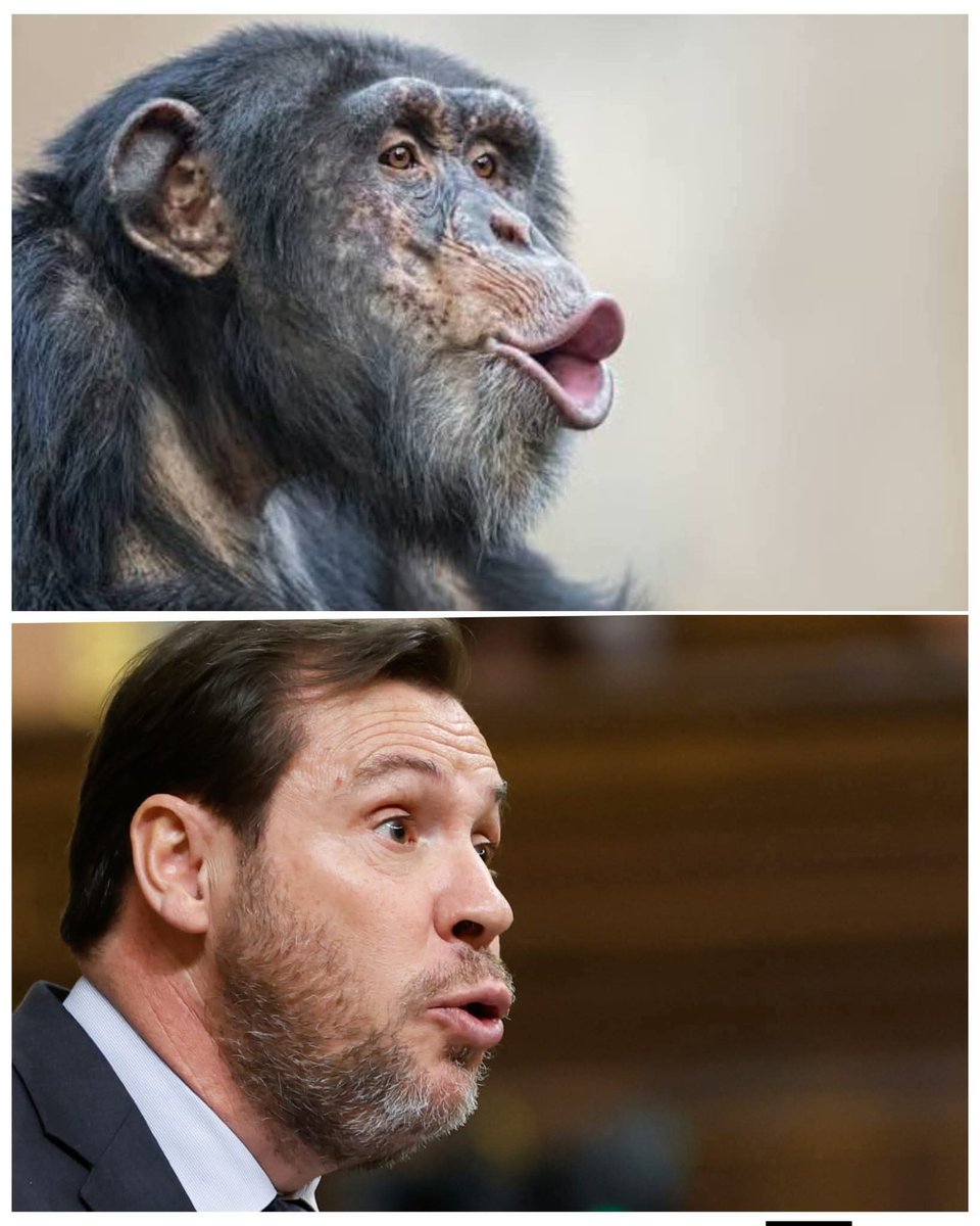 jjoserlc's tweet photo. Haber I encontráis las siete diferencias https://t.co/tDSqeUy5bE