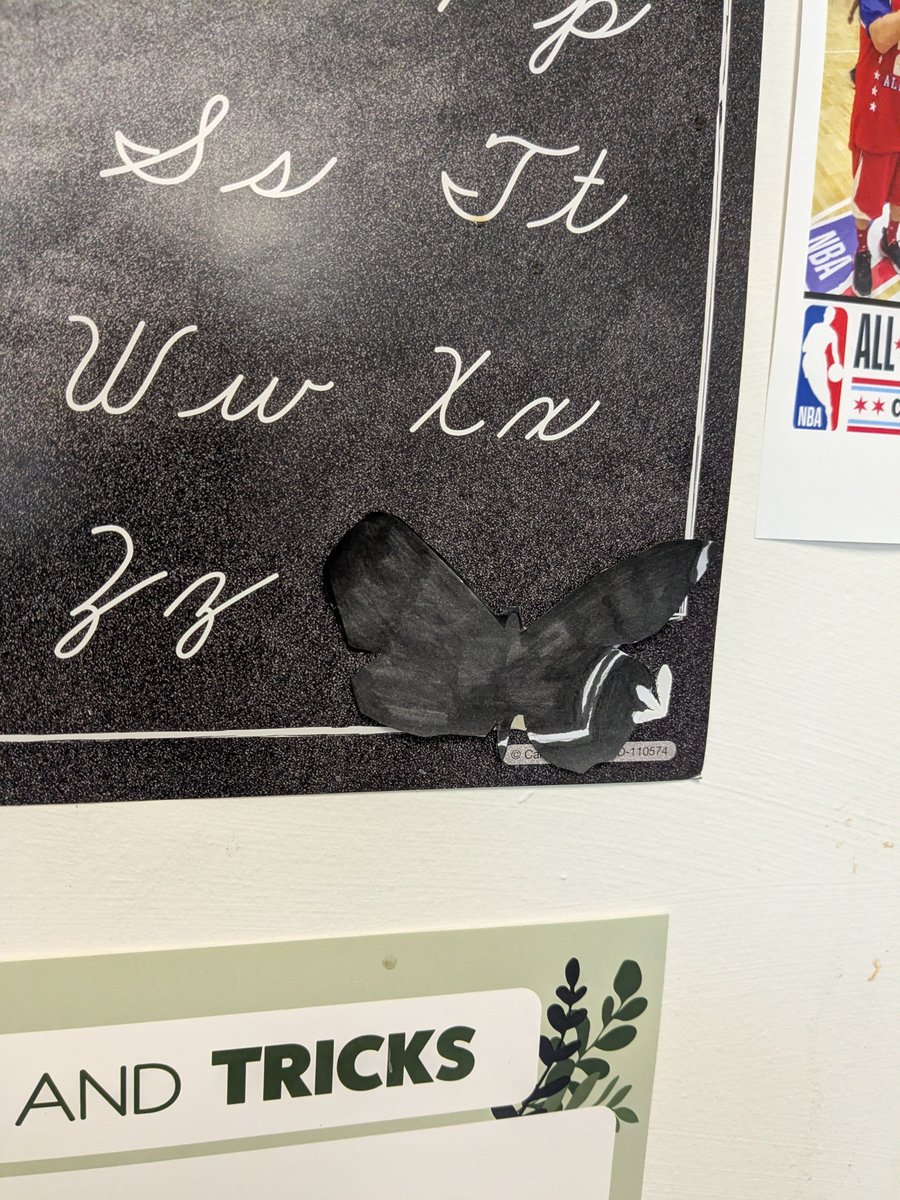Mrs_Hall7's tweet photo. Our Grade 4 scientists put their understanding of camouflage to the test!  After learning about animal adaptations, students designed camouflage moths and hid them throughout the classroom. #Grade4Science #AnimalAdaptations https://t.co/6JdzAJ1lQb